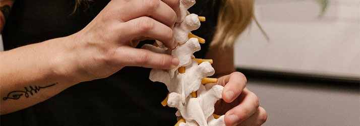 Chiropractic Orange Park FL Our Technique Chiropractic Orange Park FL Our Technique